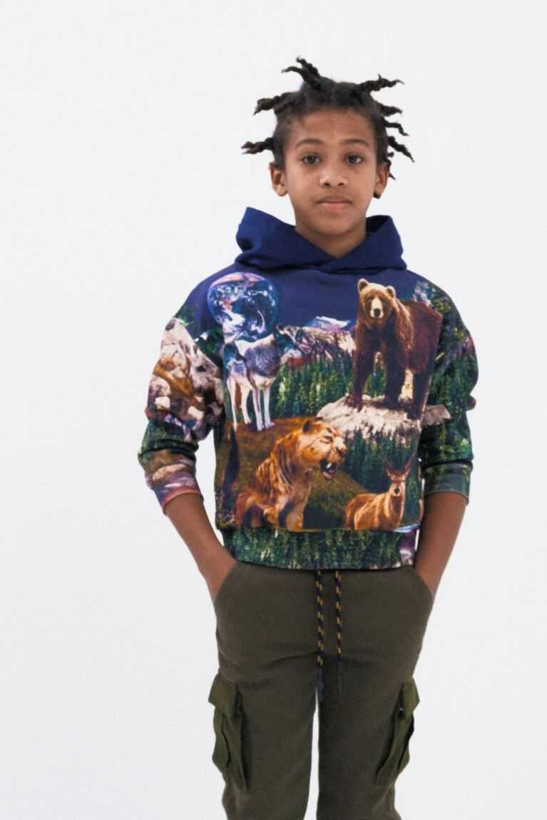 Sudaderas Desigual Digital print animal hoodie Niño | CBS704192